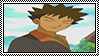Brock Montage PokeAni